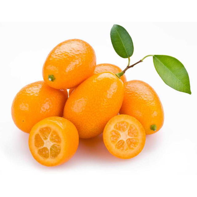Kumquat Adet
