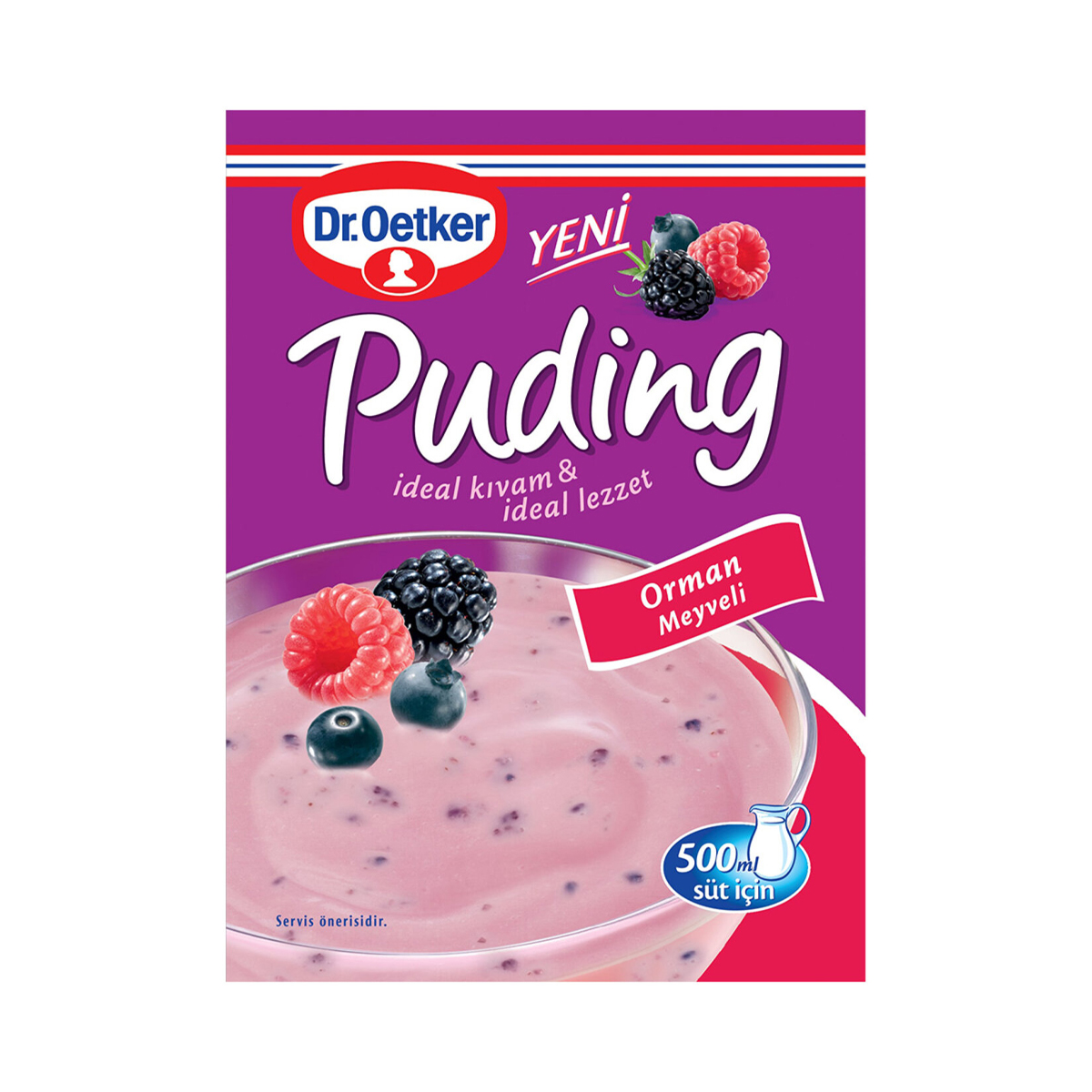 DR OETKER PUDING ORMAN MEYVELI 81 GR